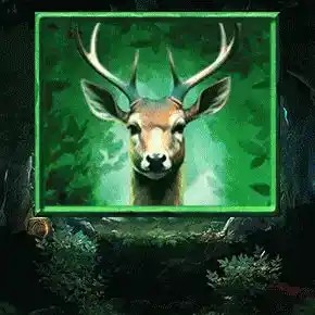 Play Almighty Bear Megaways slot by Blueprint Gaming on netwincasinó.it